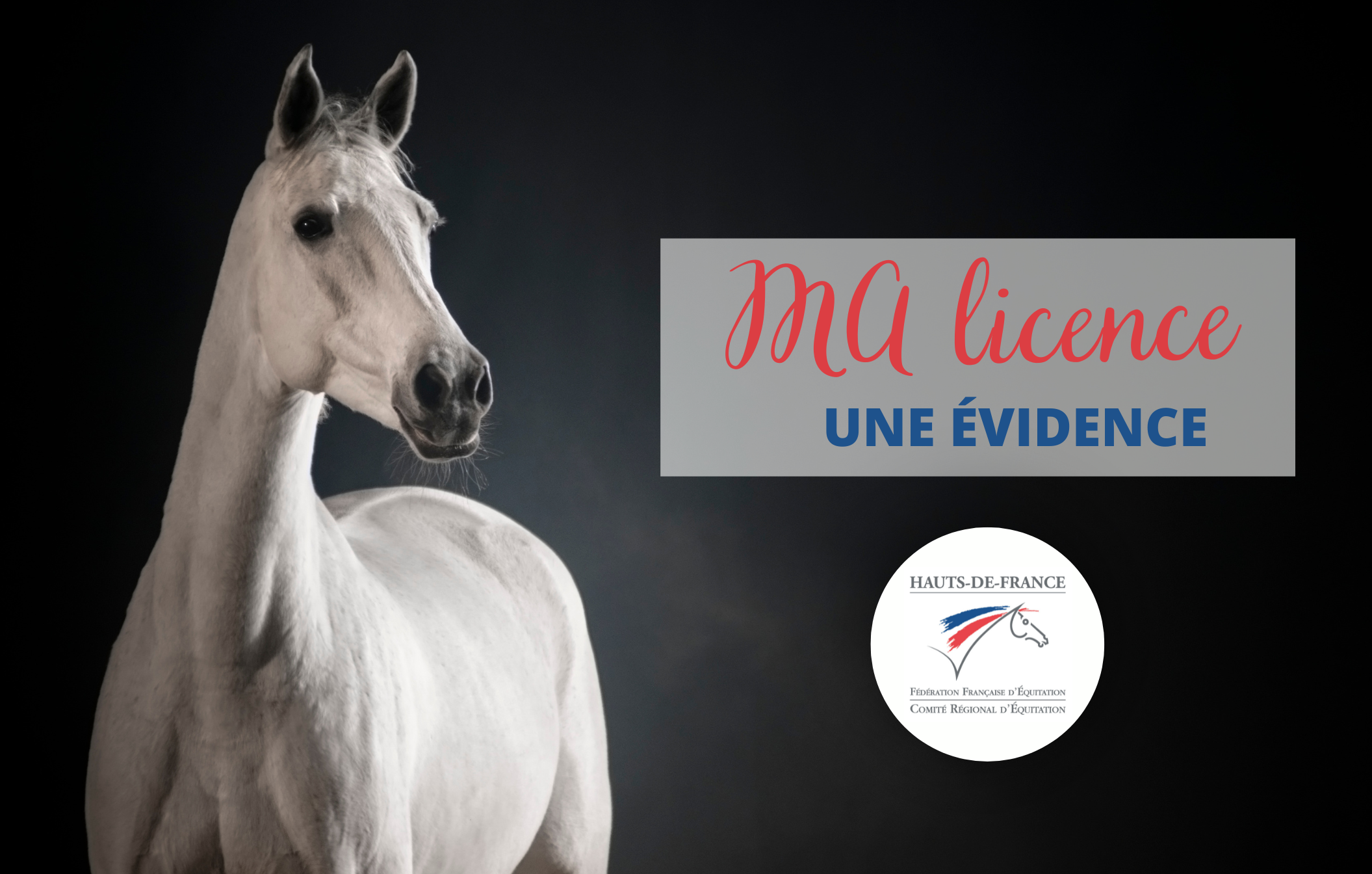 Licence fédérale : pourquoi la renouveler… et bien la flécher ?