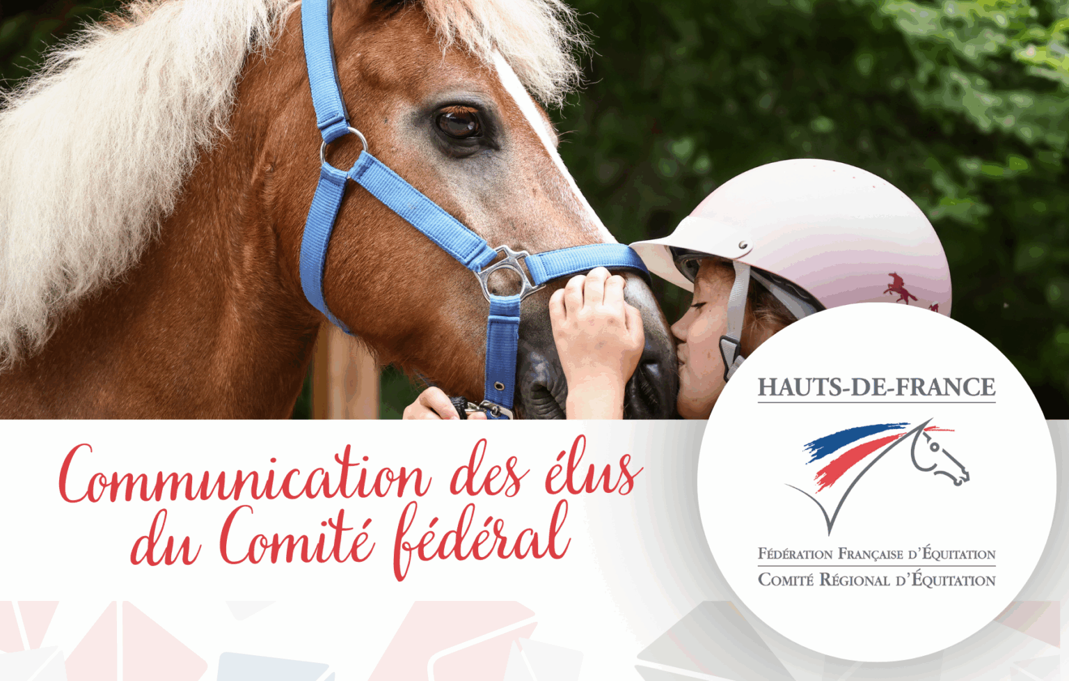 Augmentation du tarif de la Licence FFE à compter de 2026 – CRE Hauts ...